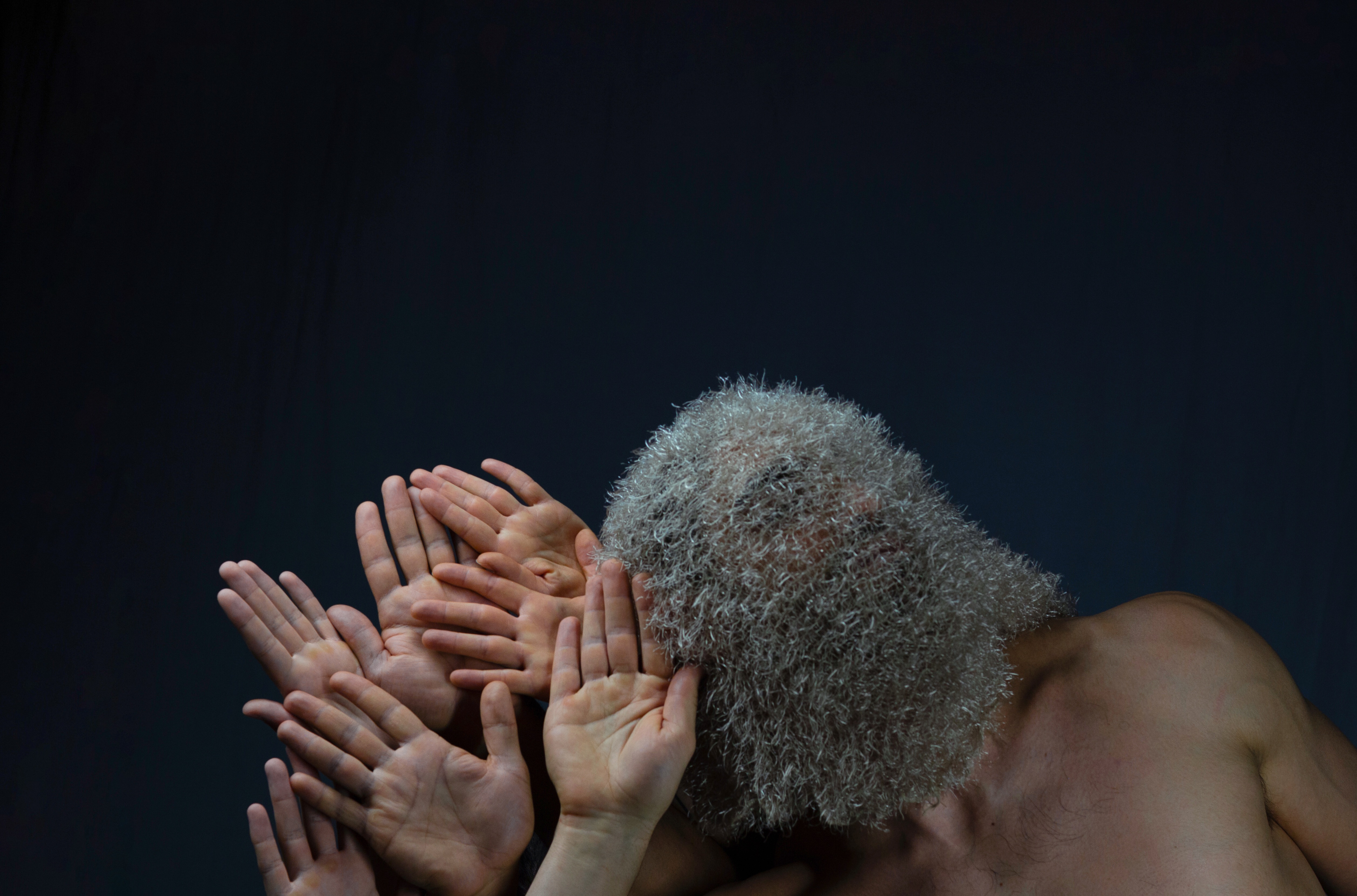 Overhead Project: Beasts & Bodies