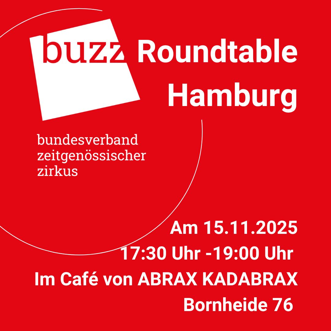 BUZZ Städtepol Hamburg: buzz Roundtable