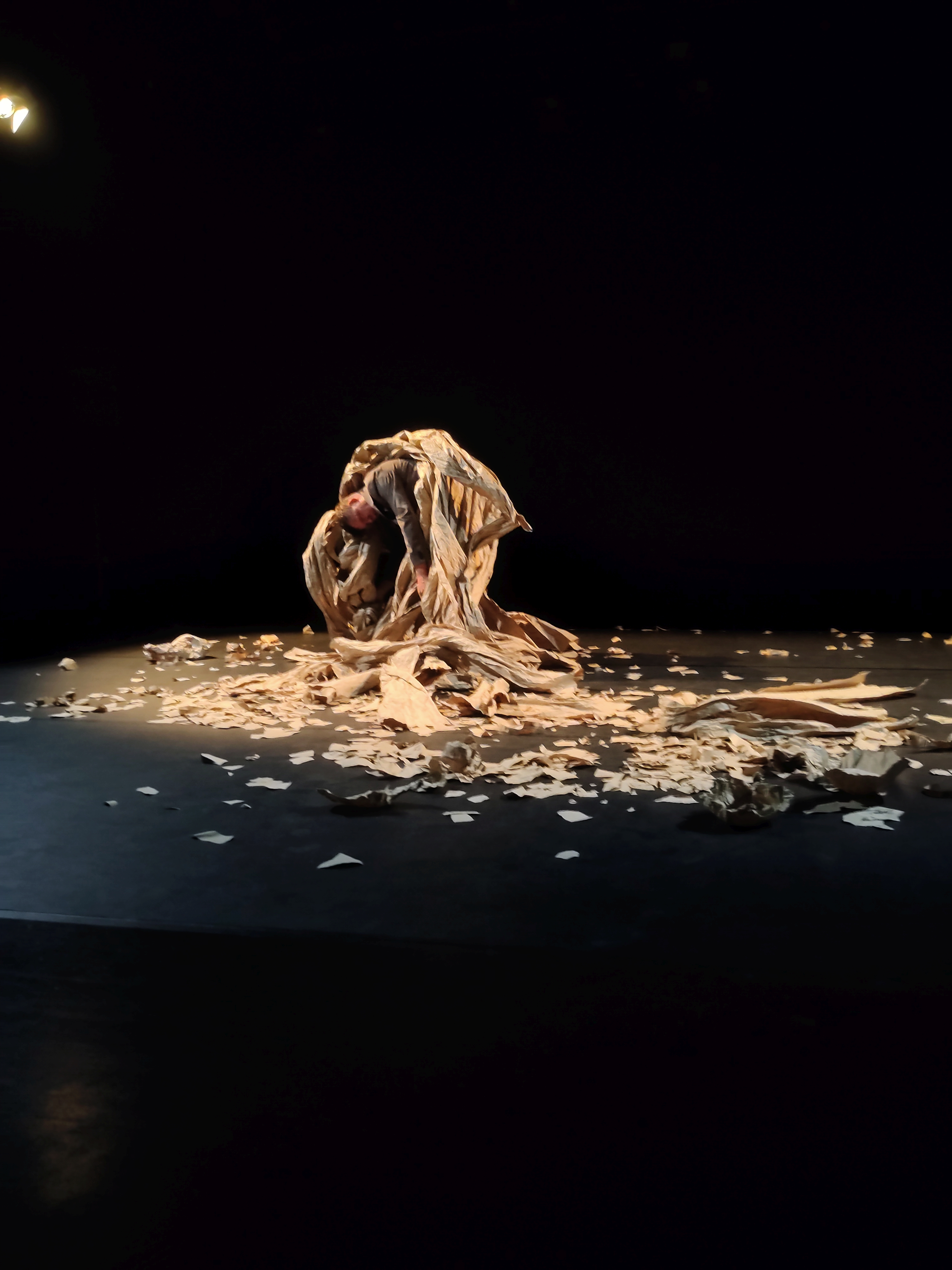 Kompanie Benjamin Richter: RAPT (Work-In-Progress-Showing )